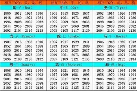 1982年属|1982 年出生属什么生肖